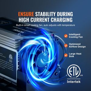 WF-8955-AD-MBA ชุดเปลี่ยนแปลงไฟ RV แบบสามขั้นตอน 55 แอมป์ เครื่องชาร์จอเนกประสงค์ ใช้งานร่วมกับแบตเตอรี่ลิเธียมและตะกั่วกรดได้ - Product Image 4