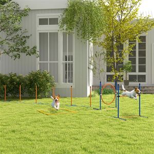 Attrezzatura per l'addestramento all'agility canina per un allenamento efficace dei cani - Product Image 2