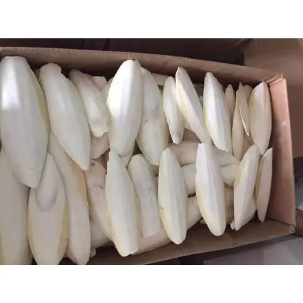 Top Quality Dried Cuttlebone Available With Discounted Price