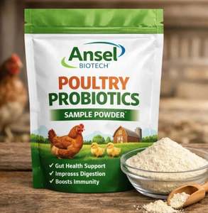 Probióticos en Polvo para Alimento de Aves de Corral, para Cría, Engorde y Puesta, con una Tasa de Inclusión de 0.5 kg/t, Paquete de 25 kg, Sin Sabor - Product Image 2