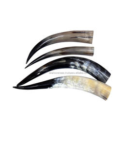 Decoración de Pared con Par de Cuernos Largos de Cuerno de Vaca Natural Pulido - Product Image 1