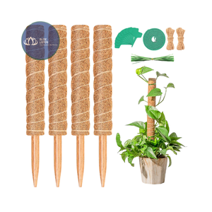MÁS VENDIDO Poste de Musgo de Coco Natural de Alta Calidad – Estaca Ecológica para Plantas Trepadoras al por Mayor - Product Image 1