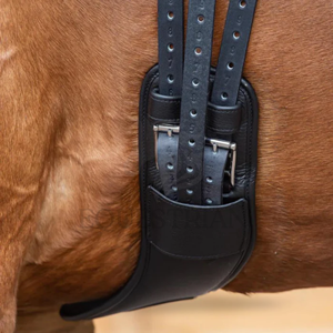 Sangle de dressage en cuir courte anatomique pour selle de cheval avec boucles en acier inoxydable - Product Image 4