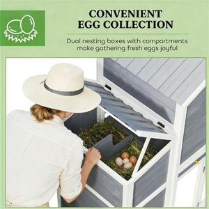 Pollaio in Legno Resistente per la Tua Folla di Polli - Product Image 4