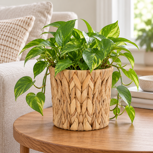 Juego de 3 Cestas de Mimbre de Jacinto de Agua Rústicas y Ecológicas Personalizables para Plantas de Interior y Decoración de Mesa, Venta al por Mayor - Product Image 6