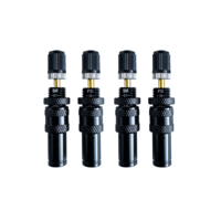 4-teiliges 10-30PSI Einstellbares Reifenablassventil-Set mit Kupfer-Schnellverschluss für 4x4 SUV LKW Sand Offroad