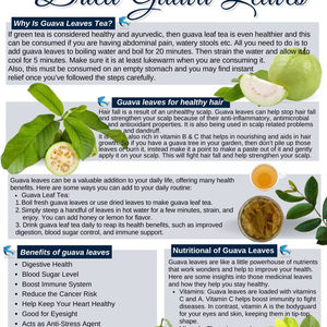 ใบฝรั่งแท้สำหรับชาสมุนไพร – อบแห้งตามธรรมชาติ - Product Image 1