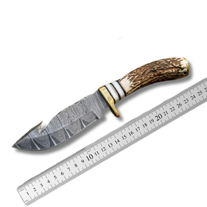 Couteau de chasse A&M Enterprises en acier Damas, manche en bois de cerf, lame fixe, pointe tombante, 8 pouces, étui en cuir, vente en gros de couteaux - Product Image 5