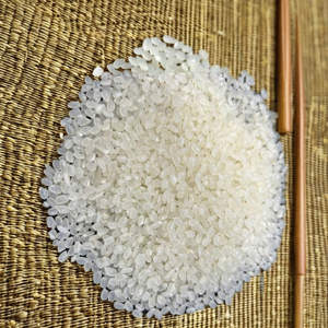 Arroz Japonica al por Mayor en Paquetes a Granel, Calidad Premium, Natural Blanco y Opciones Orgánicas, Ideal para Supermercados y Servicios de Catering, Precio Bajo - Product Image 4