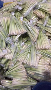 Citronnelle congelée entière, coupée, tranchée, hachée et fraîche à bas prix: Citronnelle congelée d'exportation de qualité supérieure du Vietnam - Product Image 6