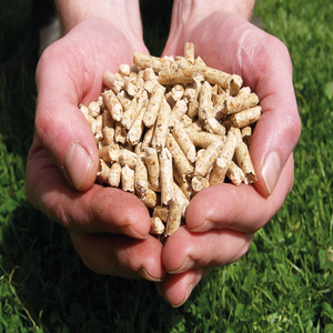 Combustible de pellets de madera de calidad hechos con materiales naturales para calefacción doméstica, uso industrial y necesidades de energía ecológica. - Product Image 6