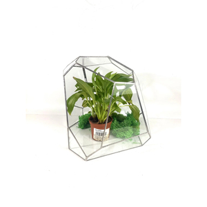 Terrario de Vidrio con Marco de Latón para Plantas Aéreas, Terrario Geométrico Piramidal de Vidrio Teñido al por Mayor, Decoración para el Hogar - Product Image 3