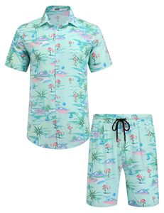 Conjunto de camisa y pantalones cortos de playa para hombre, a la moda, informal, para vacaciones de verano, conjunto de dos piezas para la playa - Product Image 1