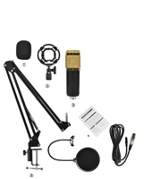 Micrófono de Condensador Cardioide Profesional BM800 con Cable, Kit con Cancelación de Ruido, Brazo Articulado Ajustable, Espuma Protectora y Soporte Antivibraciones