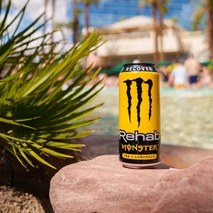 Bebida Energética Rehab Monster, Mezcla de Té Energético con Sabor Refrescante y Acabado Suave para un Impulso Diario - Product Image 6