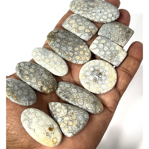 Coral noir naturel, pierres précieuses brutes, cabochons, formes et tailles variées, environ 20 à 30 mm - Product Image 1