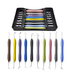 Lot de 10 instruments dentaires manuels réutilisables en silicone pour composites, avec cassette de rangement, certifiés CE ISO, fournisseur en gros OEM ODM - Product Image 2