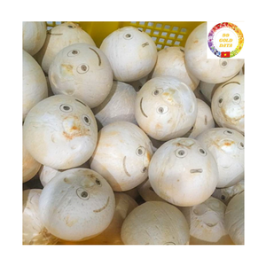 มะพร้าวสด |   ฝาเปิดง่าย |   เครื่องดื่มธรรมชาติ |   การจัดหาสินค้าจำนวนมากสำหรับร้านค้าปลีกและเครื่องดื่ม เวียดนาม - Product Image 1