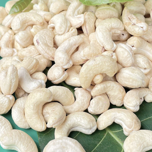 HACCP Certificate Cashew W180 Cashew <b>Nuts</b> Customized Packing Free Print Logo From Santigo - Product Image 1