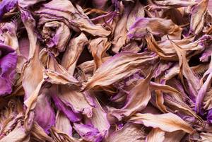 Flores de loto secas vietnamitas naturales para té de hierbas y bienestar - Product Image 3