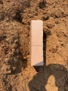 Fabricant et fournisseur en gros de granulés de fibre de coco pour l'agriculture, l'horticulture et les applications de jardinage - Product Image 5