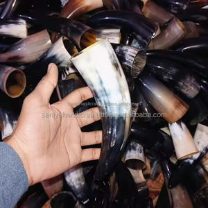 SANIYA HANDICRAFT Cuerno para beber pulido Pequeño negro Agua blanca Búfalo vikingo Aproximadamente 5 a 8 pulgadas de longitud 2 pulgadas de ancho Boca - Product Image 3