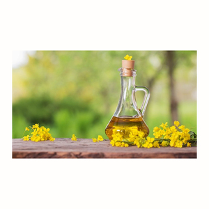 Rapeseed oil Certified Organic 100 % Pure Refined Rapeseed Oil / Canola Oil / Crude degummed rapeseed oil vegetable oil - Product Image 5