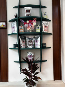 Café Robusta en Grano Tostado Oscuro de Alta Calidad, Sabor Intenso, 1 kg, Larga Duración, Bolsa de Exportación, Premium - Product Image 5