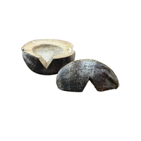 Cachette de coquille de noix de coco naturelle avec terrarium de cosse-Abri écologique pour reptiles, petits animaux domestiques et décoration d'aquarium