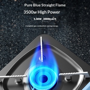 Estufa de Camping Portátil para Exteriores, Resistente al Viento, con Tanque de Gas, Estufa de Gas Comercial con Encendido Magnético - Product Image 2