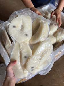 Premium IQF Frozen Soursop Pulp 100% Natural Tropical Fruit Vietnam - Product Image 5