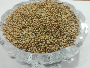 Reen Traders Mijo Verde No Modificado Genéticamente (Hara Bajra Pearl Millet) Grano Entero para Alimentación Animal y Consumo Humano, Larga Vida Útil - Product Image 5