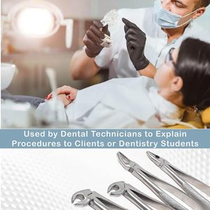 Pinzas Dentales de Acero Inoxidable Alemán de Alta Calidad, Alicates Manuales para Extracción de Dientes para Dentistas, Instrumentos Quirúrgicos - Product Image 4