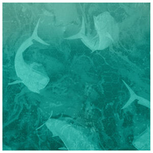 Camisa de Pesca para Hombre de Manga Larga, Nueva Moda, Impresión por Sublimación Personalizada, Logotipo Personalizado - Product Image 2