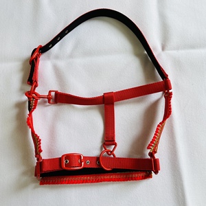 Nylon Durable Comfortable Horse Halter with Decorative Fringe Noseband & Matching Coated <b>Hardware</b> Sizes Full/Cob/ - Product Image 3