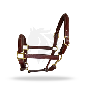 Premium <b>Leather</b> Horse Halter Padded Adjustable Brass Hardware <b>Headcollar</b> - Product Image 1