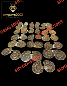 Amonites Fósiles Naturales de Alta Calidad al por Mayor, Lote de Minerales en Rodajas Pequeñas, Amonites Fósiles en Venta, Cabujones para Joyería - Product Image 4
