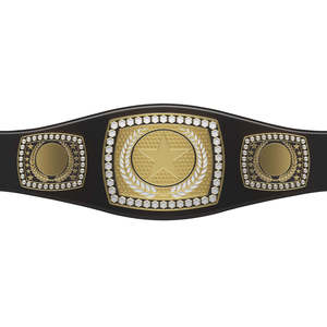 Ceinture du Nouveau Championnat Intercontinental du Monde AEW Unisexe Ronpex Équipement d'entraînement international d'arts martiaux Laiton Zinc - Product Image 5