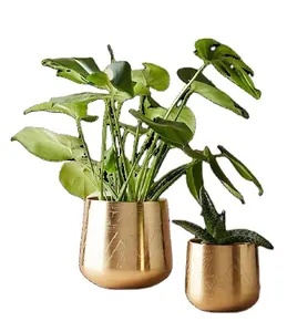 홈 & 정원 독특한 디자인 장식 금속 화분 꽃 냄비 철 재배자 냄비 금속 화분 골드