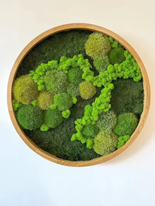 Decorazione Paesaggistica per Interni ed Esterni, Rocce Verdi, Sfere di Muschio Artificiale Fatte a Mano, Muschio Eterno Ecologico Preservato per Pareti - Product Image 2