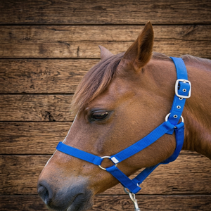Nouvelle harnais de cheval en nylon jaune personnalisé, réglable, fait main, plusieurs options de couleurs, G.K. INTERNATIONAL NH 1816 - Product Image 6