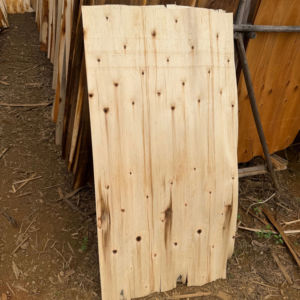 Placage d'eucalyptus 100 % naturel de haute qualité, coupé à la rotative, pour panneaux de meubles - Product Image 1