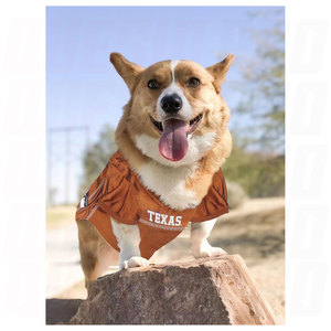 Jersey for Dogs and Cats X Large Licensed Big Dog Jersey Featuring Your Favorite Football Basketball and College Team Pet Wear - Product Image 3