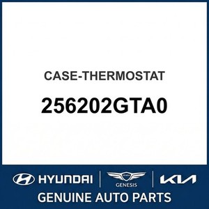 Termostatos y Carcasas Nuevos Santa Fe 256202GTA0 - Product Image 1