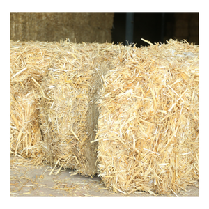 Alimento para animales de heno de paja de trigo picado seco de grado superior en forma de bolsa embalada para cerdo, ganado, caballo, camello, pez, perro, pájaro, oveja, vaca - Product Image 4