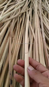 Noyau de rotin naturel en gros, matériau pour la fabrication de paniers et de meubles en osier - Product Image 2