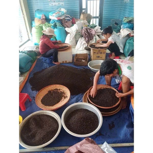Black Pepper 500 G/L 550 G/L Dried AD Processed Non-GMO Whole Peppercorns Vietnam Factory Direct 24 Months Shelf Life - Product Image 3