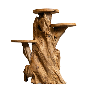 ARTERRA Décoration d'intérieur haut de gamme pour Diwali, Meuble unique en racine de teck bio, Présentoir artisanal en bois massif, Rustique, pour intérieur et extérieur - Product Image 2