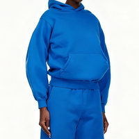 Hoodie Heavyweight Pria Sweatshirt Streetwear Pakaian Grafis Terinspirasi Web Cetak Puff ODM Vendor Grosir Siap Kirim Versi Dasar