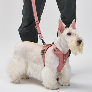[MUNIKUND] Correa para Perro Trektail Hyper Resistente, Ajustable, Estilo Urbano, con Agarre de Neopreno Suave - Product Image 6